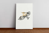 Birds_037dOLVpG4IiO0yl_1280x1280.jpg