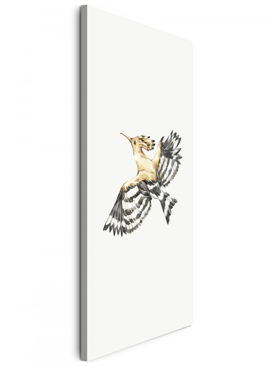 Birds_037sDbtEFf6XmGHM_1280x1280.jpg