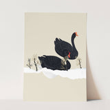 Birds_Aqua_0005_1280x1280.jpg