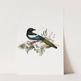 Birds_Aqua_0007_1280x1280.jpg