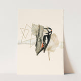 Birds_Aqua_0010_1280x1280.jpg