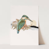Birds_Aqua_0011_1280x1280.jpg