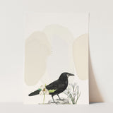 Birds_Aqua_0013_1280x1280.jpg