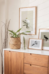 Birds_Aqua_0027KiiJwquhsyoXE_1280x1280.jpg
