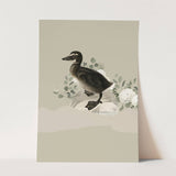 Birds_Aqua_0027_1280x1280.jpg