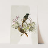 Birds_Aqua_0030_1280x1280.jpg