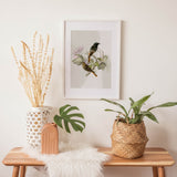 Birds_Aqua_0030vgPw72OjWNaWk_1280x1280.jpg