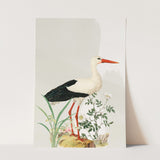 Birds_Aqua_0031_1280x1280.jpg