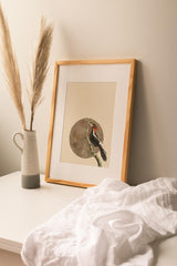 Birds_Aqua_0042LSnBvVIur3EsX_1280x1280.jpg