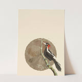 Birds_Aqua_0042_1280x1280.jpg