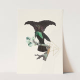 Birds_Aqua_0047_1280x1280.jpg