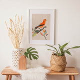 Birds_Aqua_0050zqjHqLWqjDuql_1280x1280.jpg