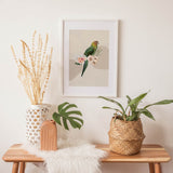 Birds_Aqua_0058BEoLtCqp8V5tE_1280x1280.jpg