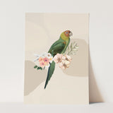 Birds_Aqua_0058_1280x1280.jpg