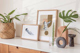 Birds_Aqua_00614Bdd6Zg9IhTtM_1280x1280.jpg
