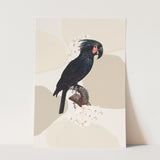 Birds_Aqua_0067_1280x1280.jpg