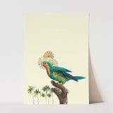Birds_Aqua_0069_1280x1280.jpg