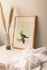 Birds_Aqua_0069fICd5KbmuUquS_1280x1280.jpg