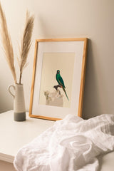Birds_Aqua_0071M6JuWWmCmhfGb_1280x1280.jpg