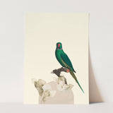 Birds_Aqua_0071_1280x1280.jpg