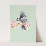Birds_Aqua_0077_1280x1280.jpg