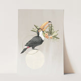 Birds_Aqua_0111_1280x1280.jpg