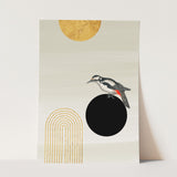 Birds_Aqua_0115_1280x1280.jpg