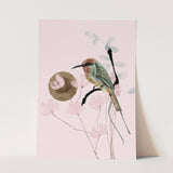 Birds_Aqua_0117_1280x1280.jpg