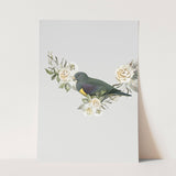 Birds_Aqua_0133_1280x1280.jpg
