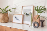 Birds_Aqua_0133rEE64qdfUMRYp_1280x1280.jpg