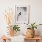 Birds_Aqua_01434YUu38fAF7Hqn_1280x1280.jpg