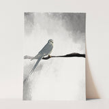 Birds_Aqua_0143_1280x1280.jpg