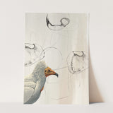 Birds_Aqua_0145_1280x1280.jpg