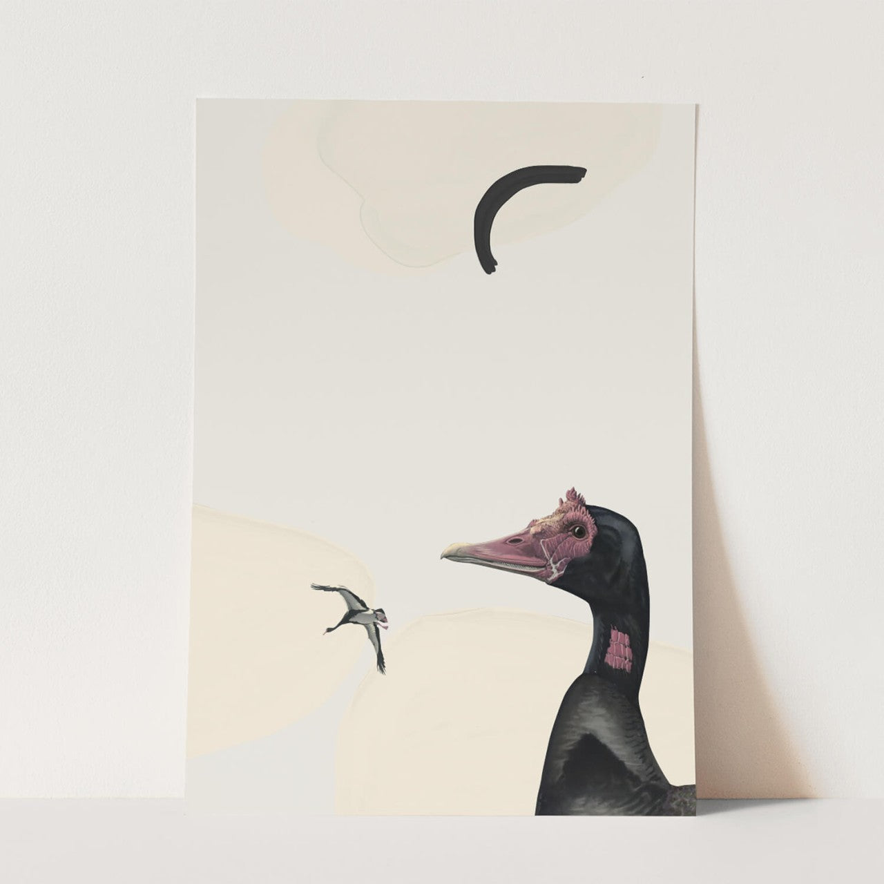 Birds_Aqua_0149_1280x1280.jpg
