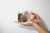 Birds_Cup_0576GAw1zNUmhWdp_1280x1280.jpg