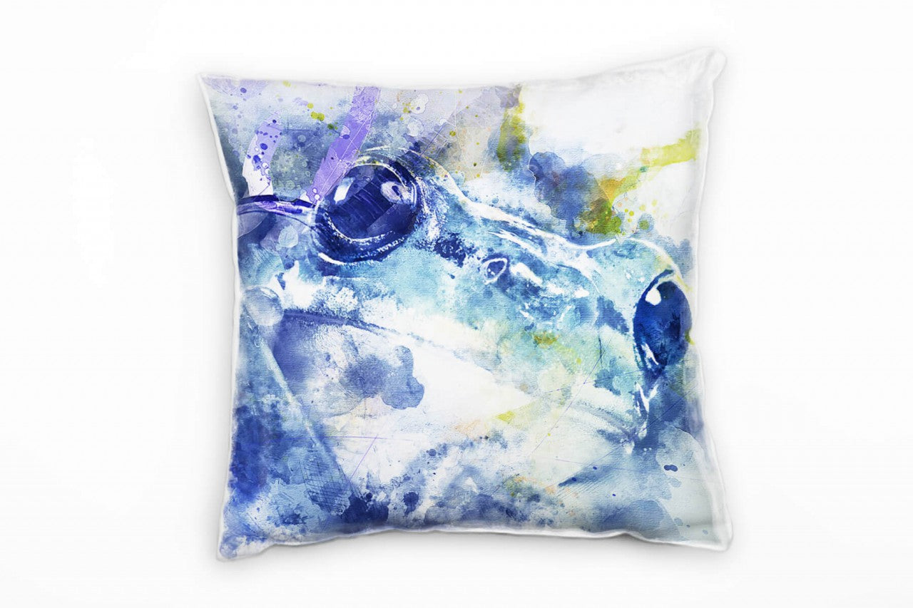 Frog_Fresh_1280x1280.jpg