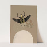 Insects_Aqua_0024_1280x1280.jpg