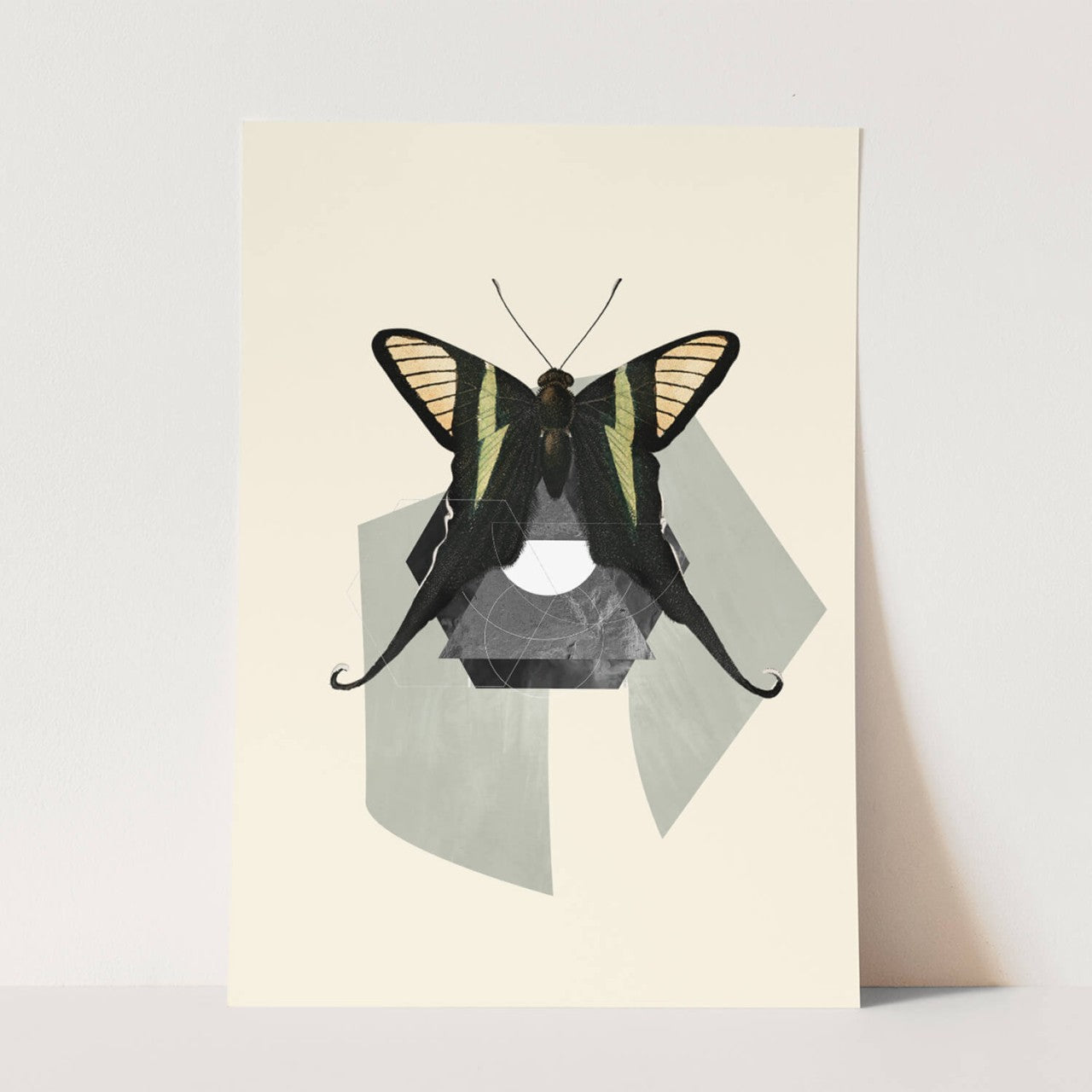 Insects_Aqua_0057_1280x1280.jpg