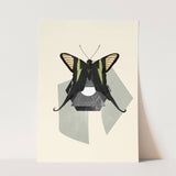 Insects_Aqua_0057_1280x1280.jpg