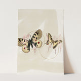 Insects_Aqua_0076_1280x1280.jpg