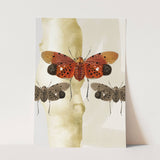 Insects_Aqua_0079_1280x1280.jpg