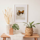 Insects_Aqua_0083hHpL8W3oySBjY_1280x1280.jpg