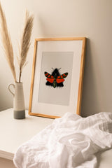Insects_Aqua_0093354MAd2bPq0Zh_1280x1280.jpg