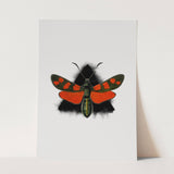 Insects_Aqua_0093_1280x1280.jpg