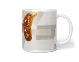 Insects_Cup_0327xW6OA0WQ6NF1_1280x1280.jpg