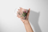Insects_Cup_044CpUrBxtXx0okC_1280x1280.jpg