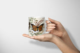 Insects_Cup_045IFJbEI5IVOslD_1280x1280.jpg