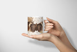 Insects_Cup_049qwaxB1ugAcvOT_1280x1280.jpg
