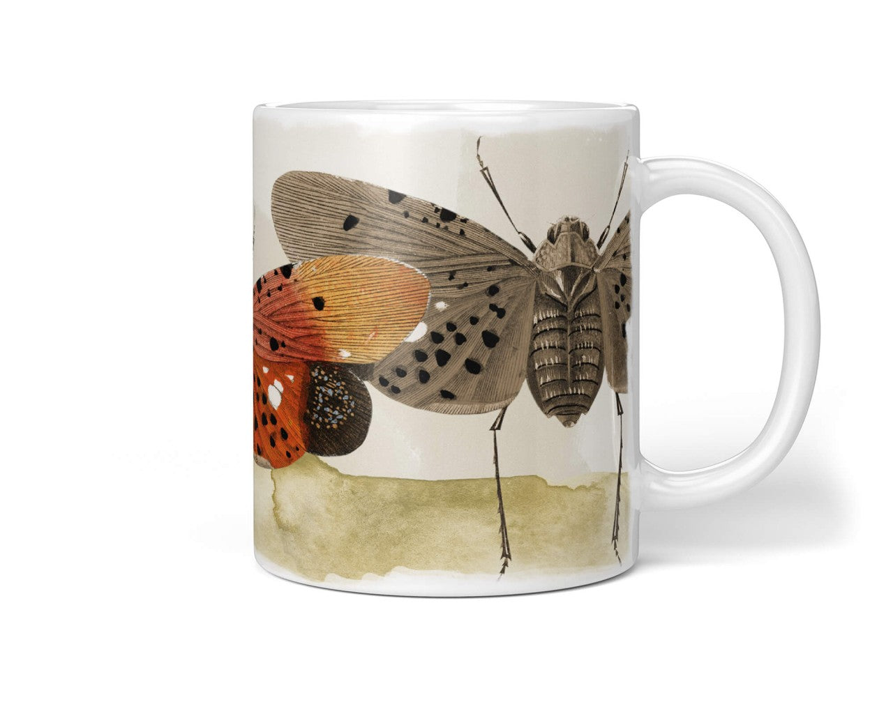 Insects_Cup_079HzacKIb6lrjzj_1280x1280.jpg
