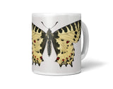 Insects_Cup_086_1280x1280.jpg